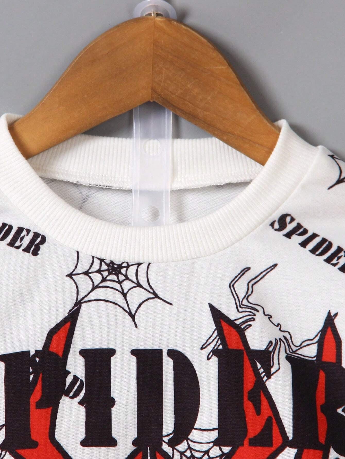 Spider web w