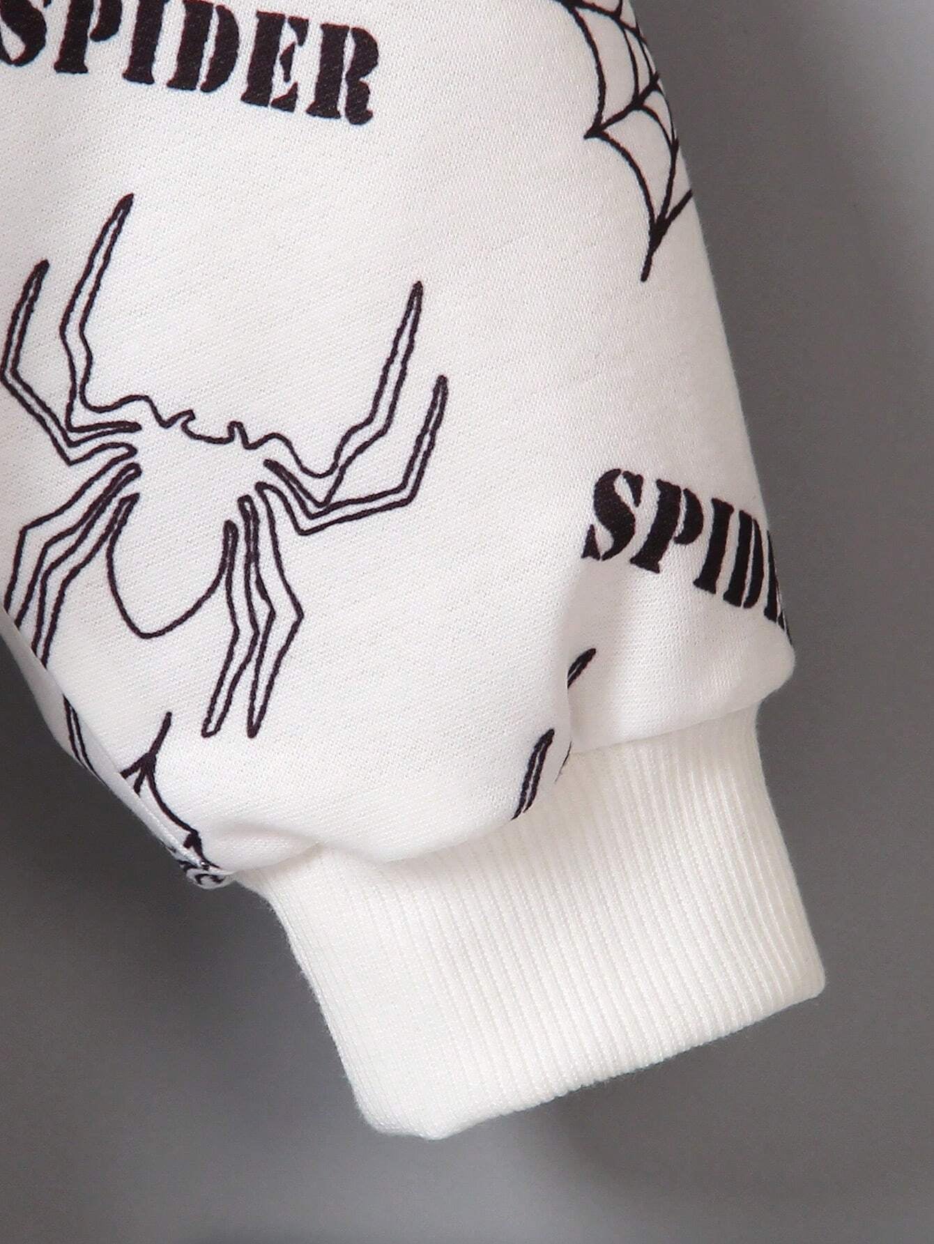 Spider web w