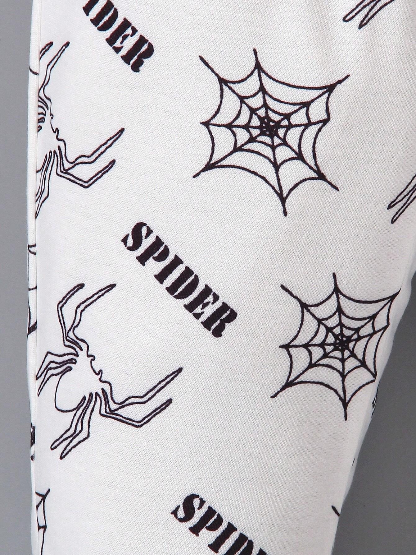 Spider web w